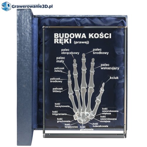 Prezent dla lekarza chirurga - 3d grawer kości dłoni  ludzkiej w krysztale z opisami 